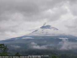 Gunung Semeru Erupsi, Kolom Abu Capai 500 Meter di Atas Puncak
