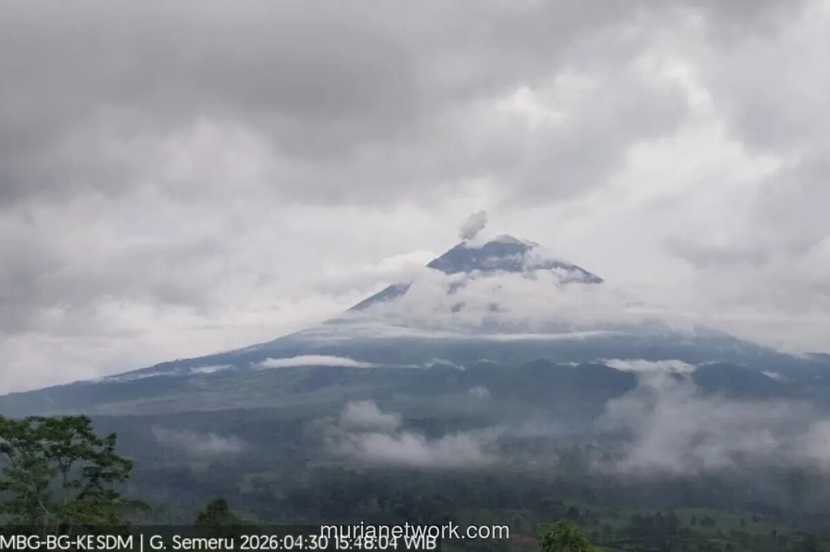 Gunung Semeru Erupsi, Kolom Abu Capai 500 Meter di Atas Puncak