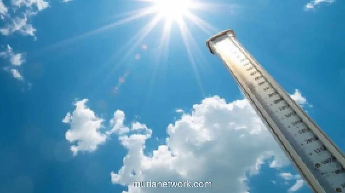 BMKG Peringatkan Kemarau 2026 Lebih Awal dan Berpotensi Diperparah El Nino