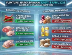 Harga Cabai Turun Tajam, Minyak Goreng dan Bawang Merah Masih Naik