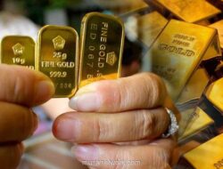 Harga Emas Antam Naik Tipis, Buyback Melonjak Lebih Signifikan