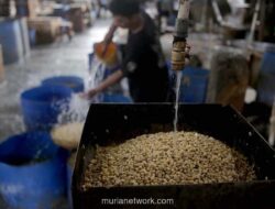 Bapanas Peringatkan Importir Patuhi Harga Acuan Kedelai