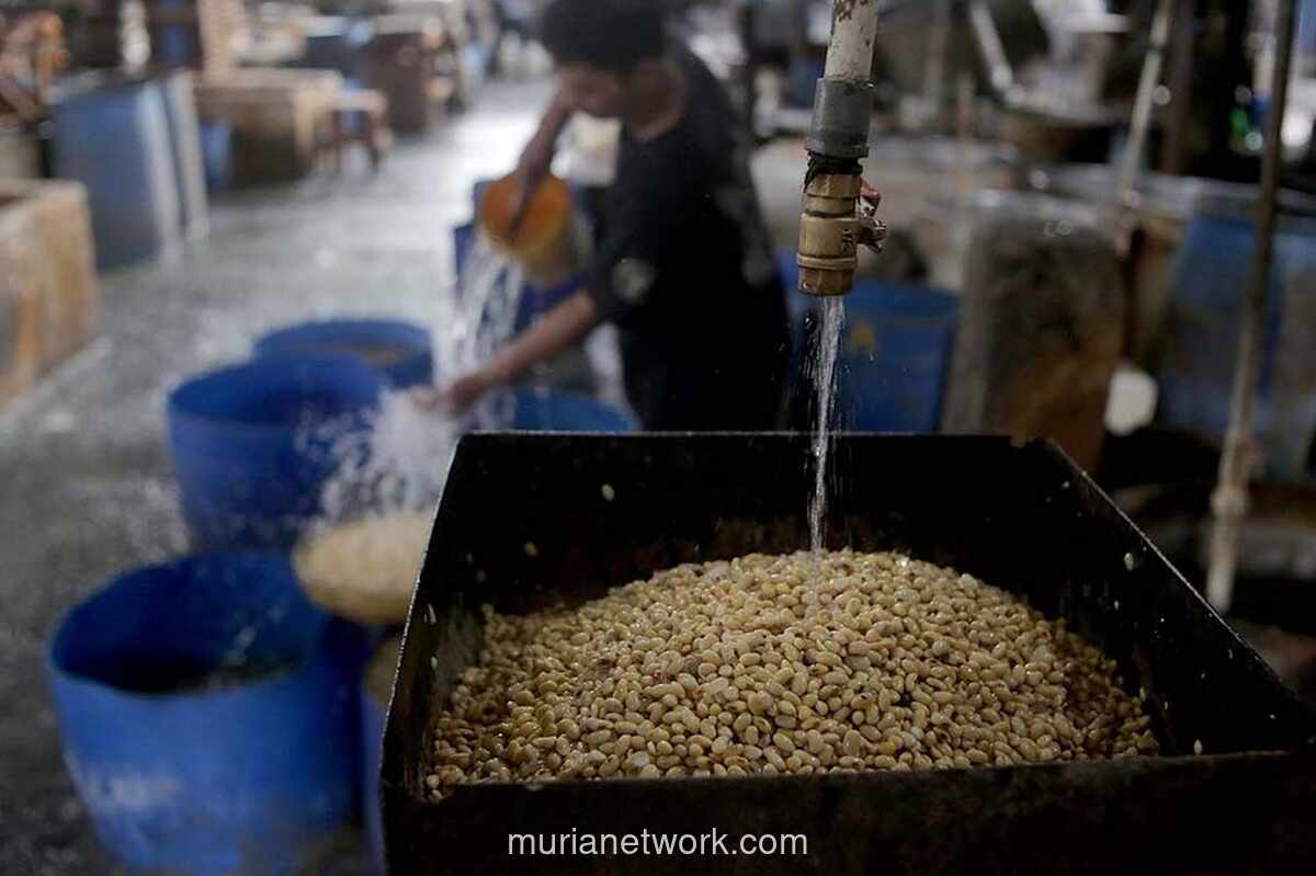 Bapanas Peringatkan Importir Patuhi Harga Acuan Kedelai