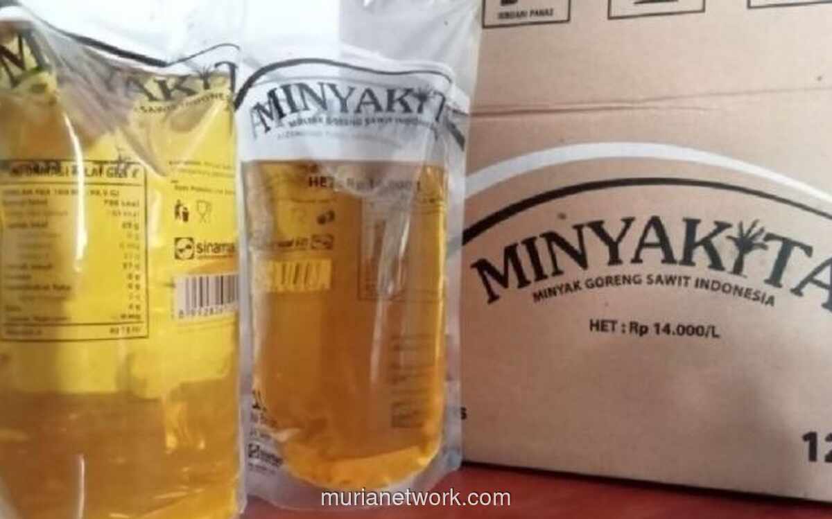 Harga Minyakita Melonjak, Dampak Kenaikan Menyebar ke 207 Kabupaten/Kota
