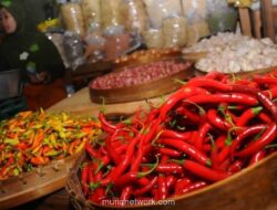 Harga Cabai Rawit Merah Tembus Rp165.000 per Kilogram, Pangan Pokok Kompak Naik