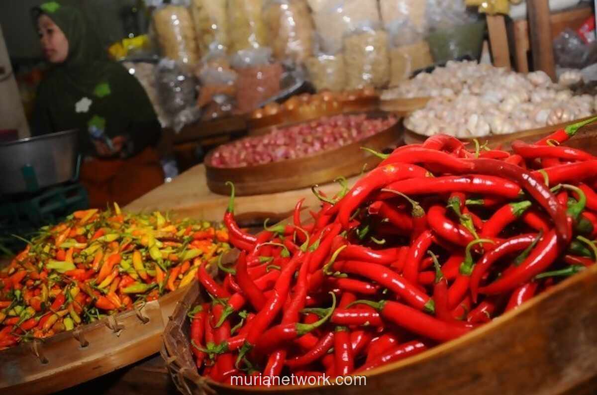 Harga Cabai Rawit Merah Tembus Rp165.000 per Kilogram, Pangan Pokok Kompak Naik