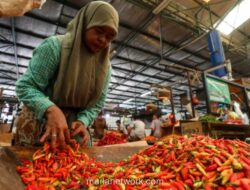 Harga Cabai Meroket di Sumsel, Beras Tetap Stabil