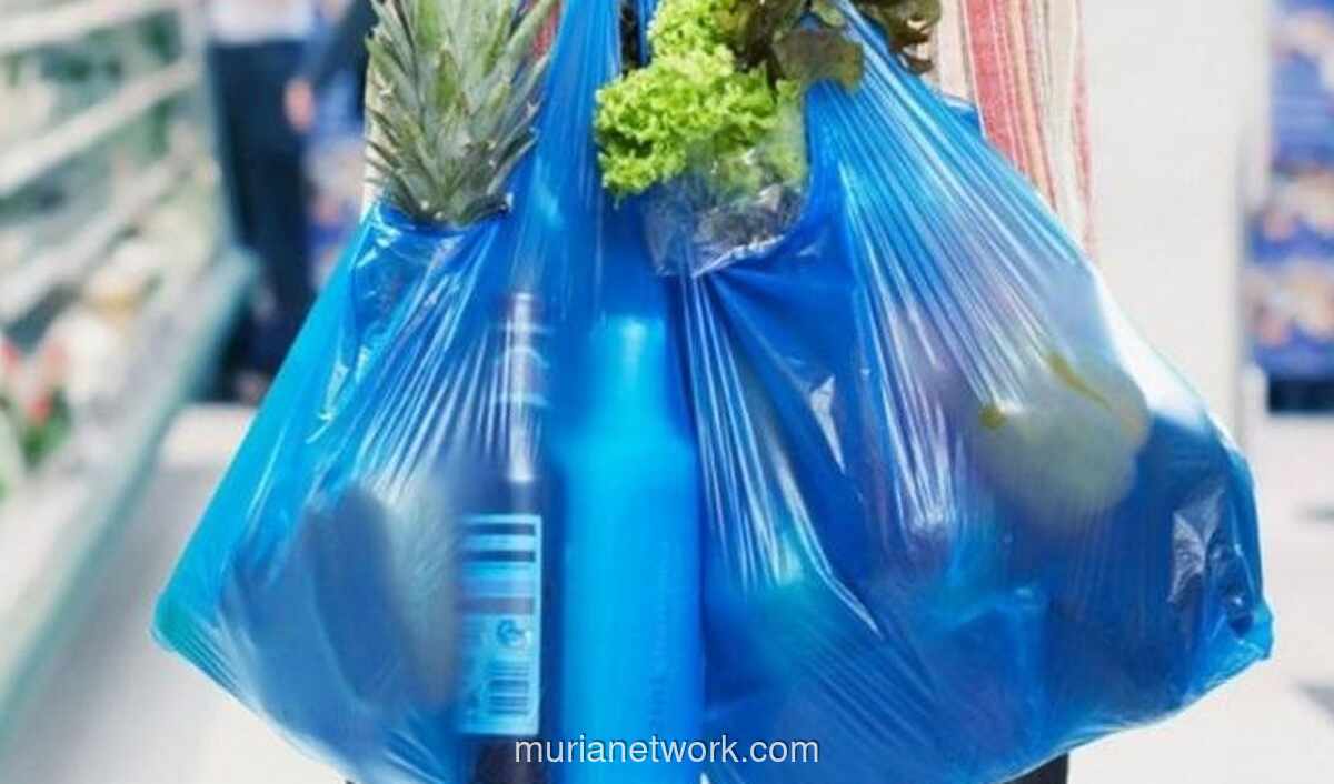 Gubernur DKI Sarankan Bungkus Daun Pisang di Tengah Lonjakan Harga Plastik