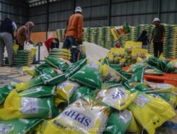 Bapanas Izinkan Penggunaan Kemasan Beras SPHP Tahun 2023–2025 Akibat Kelangkaan Bahan Baku Plastik