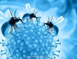 Hari Malaria Sedunia 2026: WHO Luncurkan Kampanye Akhiri Malaria, Seruan Pendanaan dan Inovasi Diperkuat