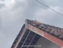 Balita 2 Tahun Merangkak di Atap Genteng, Warga Lombok Tengah Berhasil Selamatkan
