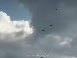 BKSDA Bali Jelaskan Fenomena Kawanan Lebah di Tol Bali Mandara