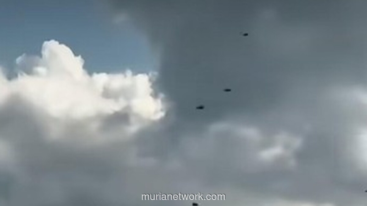 BKSDA Bali Jelaskan Fenomena Kawanan Lebah di Tol Bali Mandara