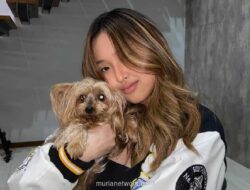 Michelle Ashley Bantah Tudingan Sumber Uang, Ungkap Pekerjaan Lewat TikTok