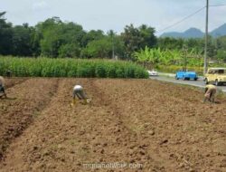 ATR/BPN Imbau Masyarakat Waspada Penipuan Pengukuran Tanah