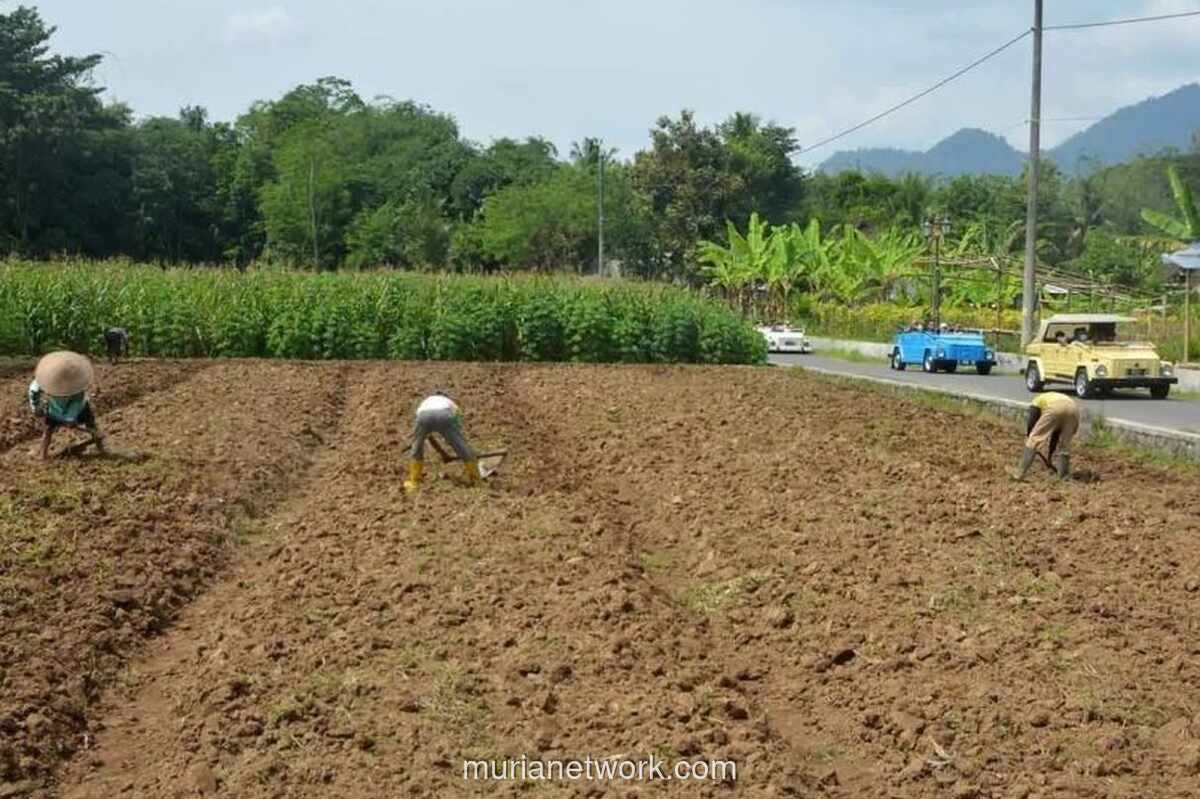 ATR/BPN Imbau Masyarakat Waspada Penipuan Pengukuran Tanah
