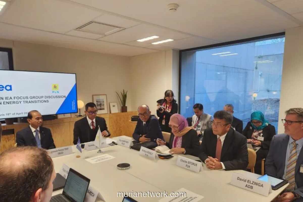 IEA Dukung Imbauan Pemerintah Indonesia untuk Hemat Energi