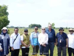 Kementan Gandeng Australia Perkuat Irigasi Lahan Rawa di Kalteng untuk Dorong Produktivitas Padi