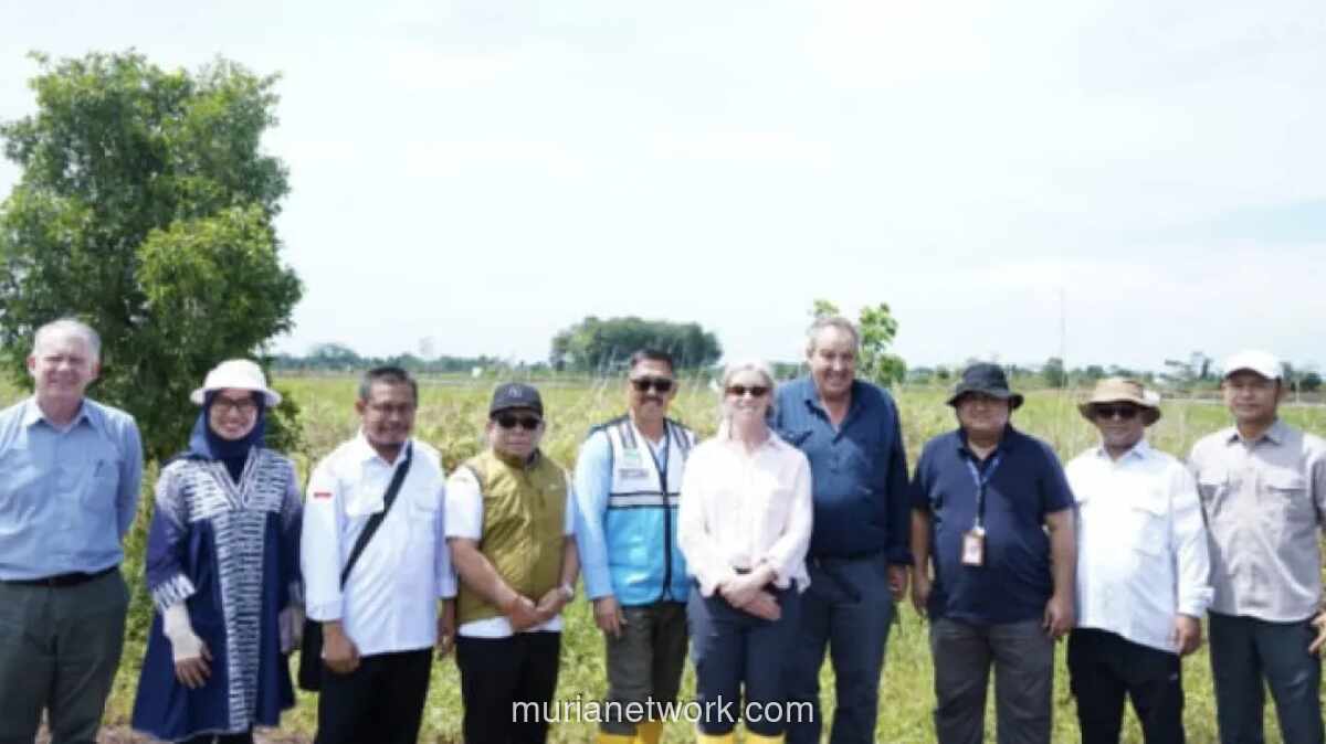 Kementan Gandeng Australia Perkuat Irigasi Lahan Rawa di Kalteng untuk Dorong Produktivitas Padi
