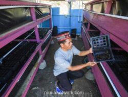 Pemerintah Siapkan Kawasan Industri Perikanan Berbasis Koperasi di Pesisir Indramayu