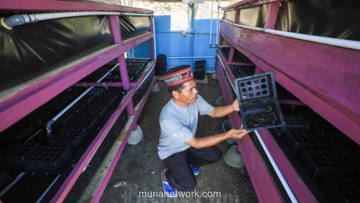 Pemerintah Siapkan Kawasan Industri Perikanan Berbasis Koperasi di Pesisir Indramayu