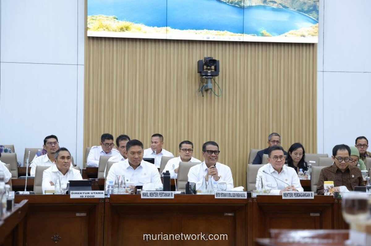 Pemerintah Gelontorkan Rp1,7 Triliun untuk Revitalisasi Tebu dan Perketat Impor Gula