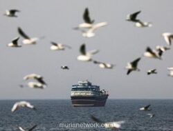 Iran dan Oman Rencanakan Pungutan Biaya Transit di Selat Hormuz Selama Gencatan Senjata