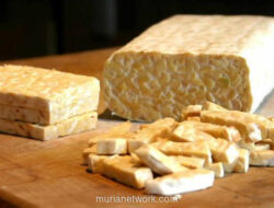 Ekspor Tempe Senilai Rp2,1 Miliar ke Chile Jadi Pintu Masuk Pasar Amerika Latin