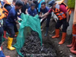 Operasi Dua Pekan, Jakarta Timur Amankan 3 Ton Ikan Sapu-sapu dari 10 Kecamatan