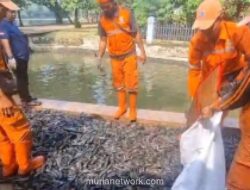 Sudin KPKP Jaksel Awasi Olahan Ikan Sapu-sapu di Setu Babakan