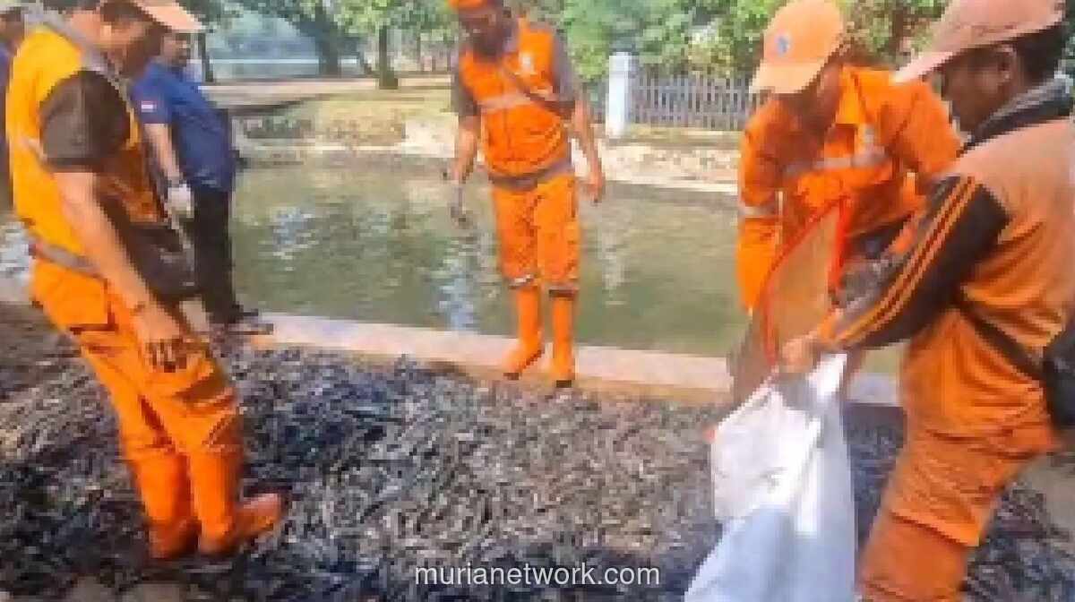 Sudin KPKP Jaksel Awasi Olahan Ikan Sapu-sapu di Setu Babakan