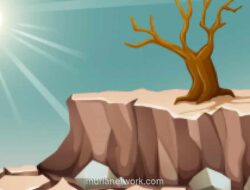 Jember Tetapkan Status Siaga Darurat Kekeringan, Waspadai Puncak Kemarau Ekstrem pada Agustus 2026