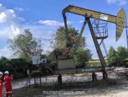 Laporan JP Morgan: Indonesia Peringkat Kedua Dunia untuk Ketahanan Energi