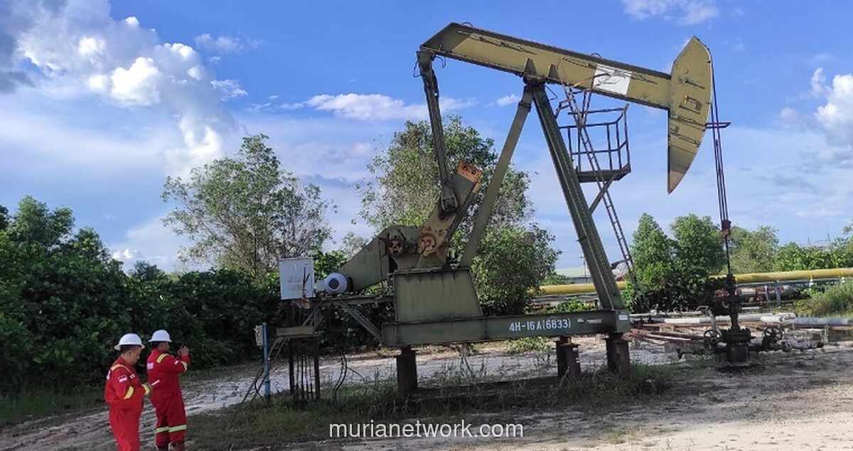 Laporan JP Morgan: Indonesia Peringkat Kedua Dunia untuk Ketahanan Energi