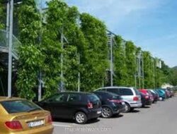 Video Viral Ungkap Aksi Paksa Juru Parkir Liar di Pelabuhan Makassar