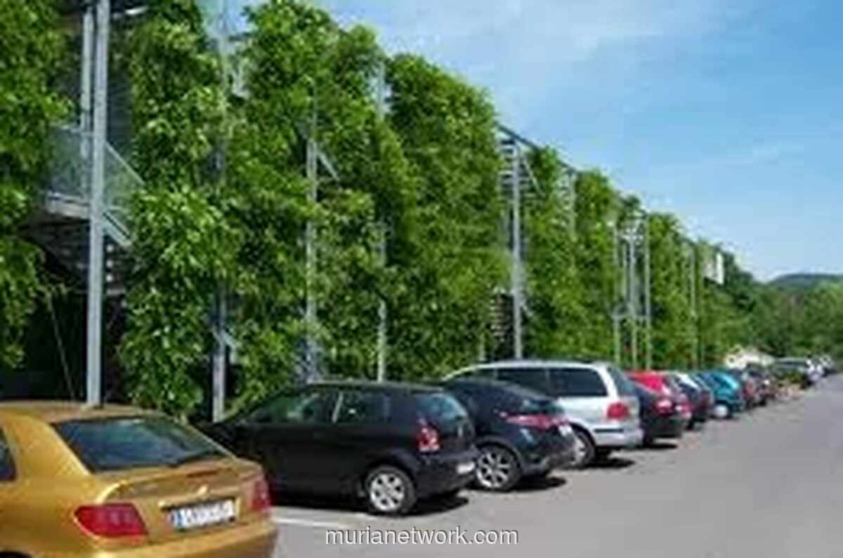 Video Viral Ungkap Aksi Paksa Juru Parkir Liar di Pelabuhan Makassar