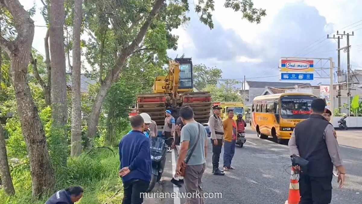Truk Alat Berat Seret Kabel, 500 Pelanggan PLN di Tulungagung Gelap