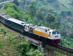 KAI Catat 128 Juta Penumpang pada Triwulan I 2026, Naik 10%