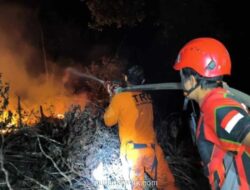 BNPB Catat Kebakaran Lahan di Kaltim dan Banjir di Pasuruan dalam Dua Hari