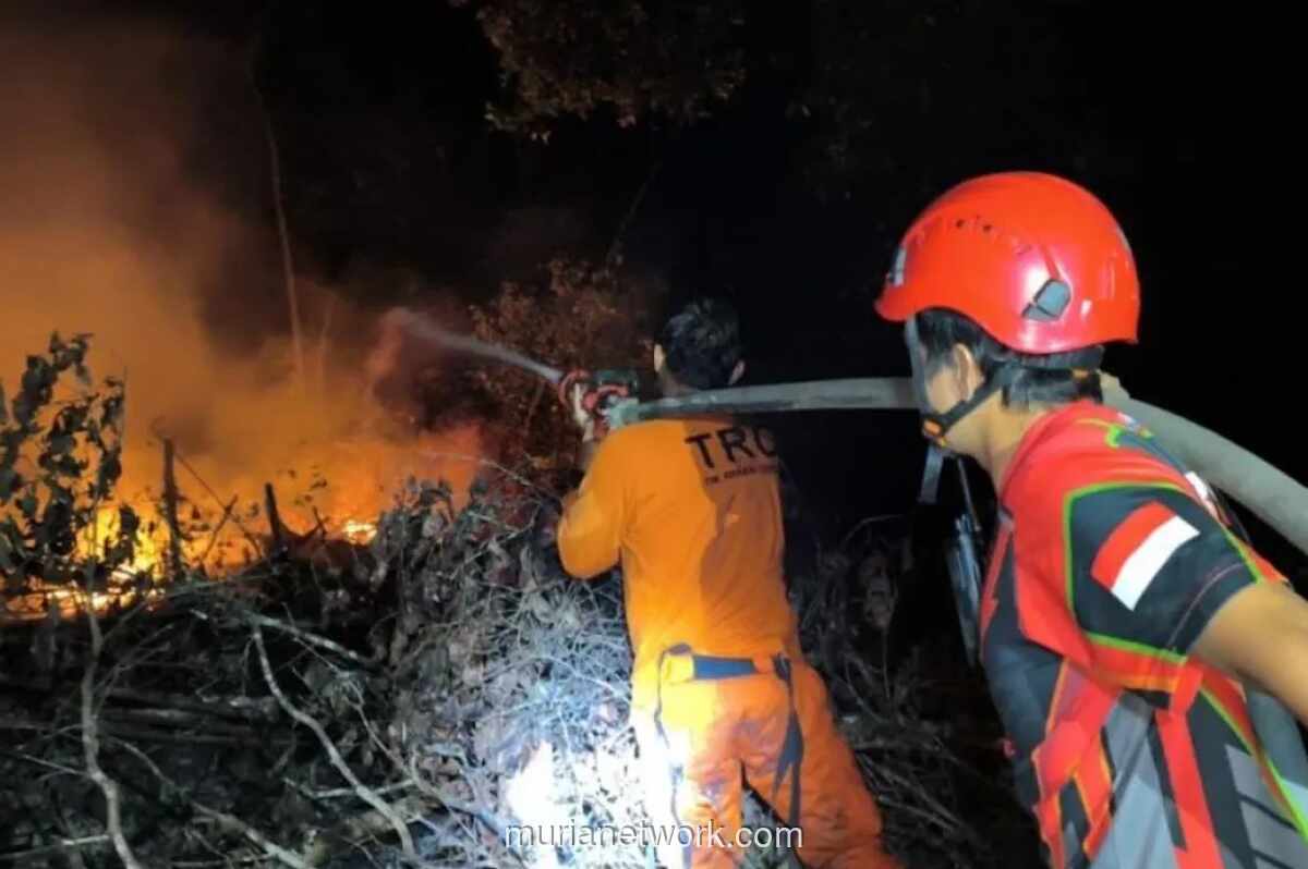 BNPB Catat Kebakaran Lahan di Kaltim dan Banjir di Pasuruan dalam Dua Hari