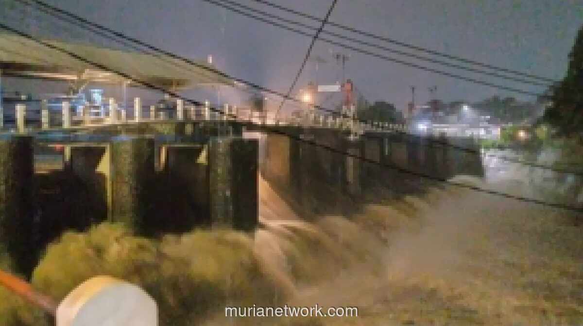 Status Siaga 3 di Bendung Katulampa, Debit Ciliwung Melonjak Drastis dalam 45 Menit