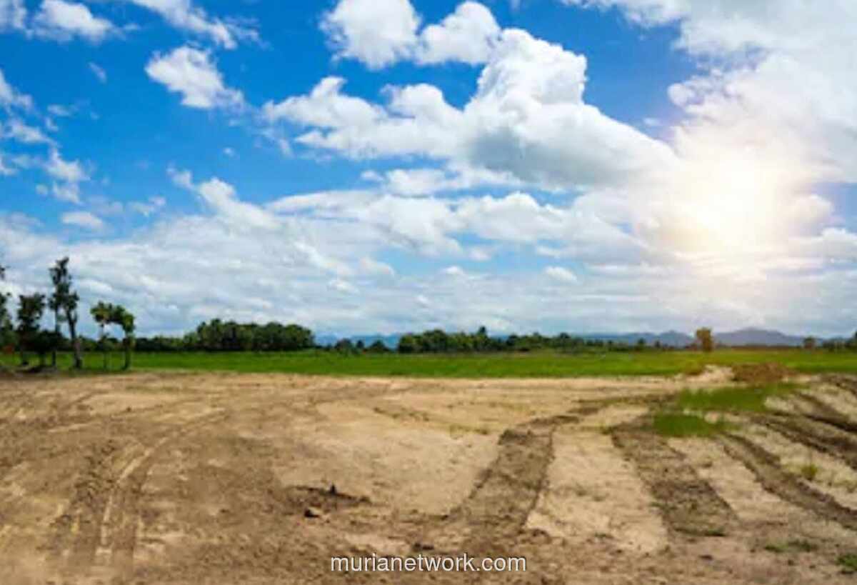 AHY: Kawasan Transmigrasi Disiapkan Jadi Penopang Ekspor SDA