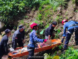 Minibus Terjun ke Jurang 50 Meter di Padang Pariaman, Seluruh Penumpang Selamat