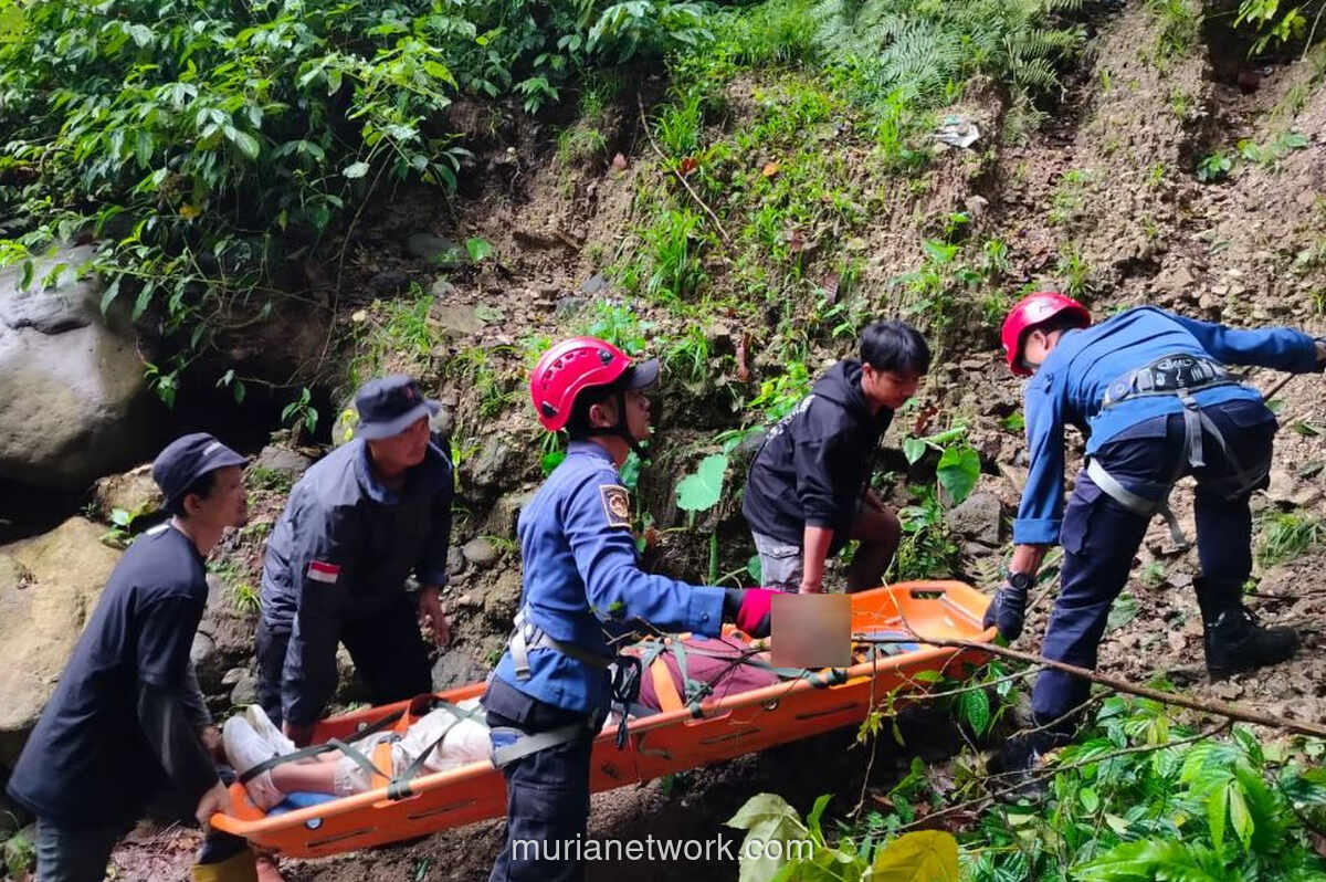 Minibus Terjun ke Jurang 50 Meter di Padang Pariaman, Seluruh Penumpang Selamat