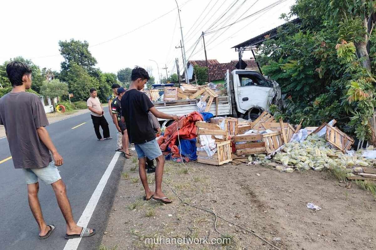 Truk Angkut Belimbing Nyemplung ke Pagar Rumah di Ponorogo, Sopir Selamat