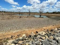 BMKG Prediksi Musim Kemarau 2026 Lebih Kering dan Lebih Panjang