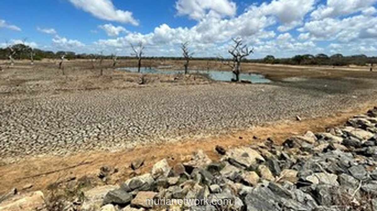 BMKG Prediksi Musim Kemarau 2026 Lebih Kering dan Lebih Panjang