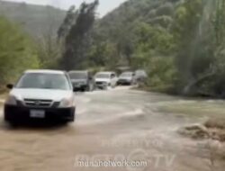 Warga Lebanon Selatan Menyeberangi Sungai Berbahaya Demi Pulang Usai Gencatan Senjata