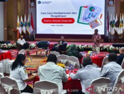 Kemenkeu Dorong Papua Tengah Bentuk Dana Abadi Daerah untuk Ketahanan Fiskal