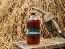 ESDM Minta Bobibos Segera Uji Produk ke Lemigas untuk Tentukan Klasifikasi BBN atau BBM